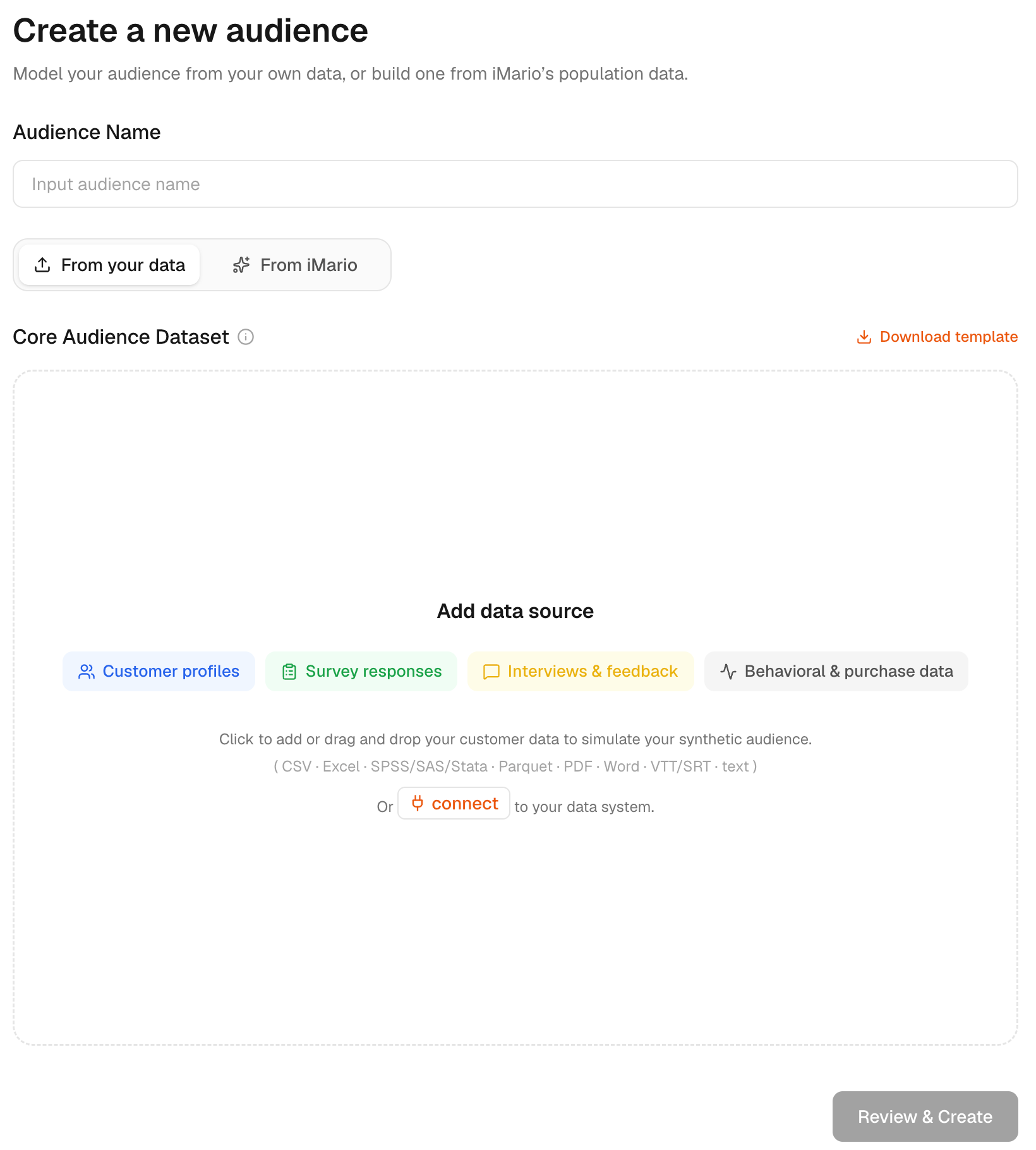 Choose From your data, add source files or connect a system, then review before creating the audience.